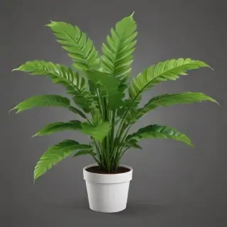 plant png clipart