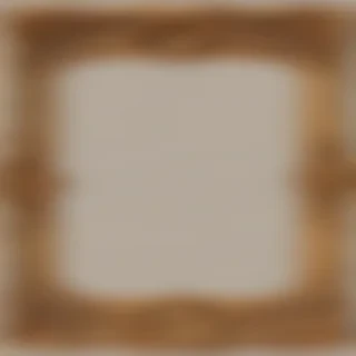 fancy frame png