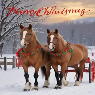 merry christmas images with horses