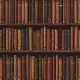 books icon aesthetic