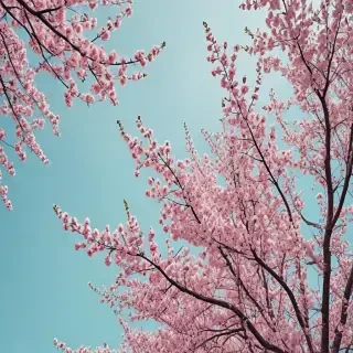 aesthetic spring wallpapers