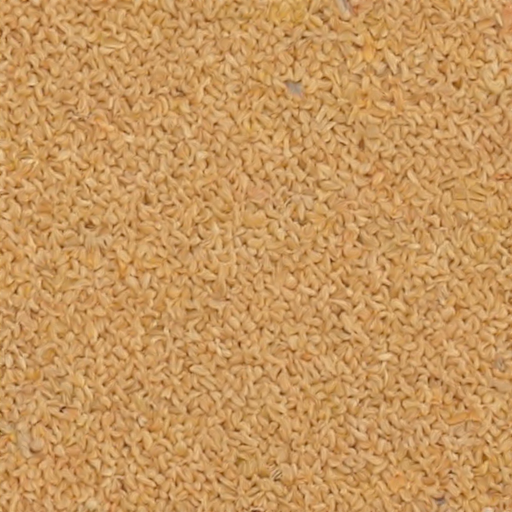 grain paper texture