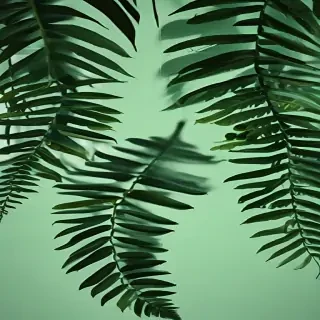 green background aesthetic