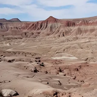 petrified forest