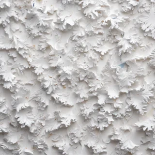 white background wallpaper