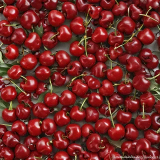 cherry png