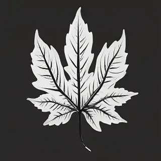 clipart leaf black and white