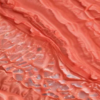 coral color