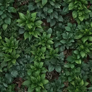 zoom background plants