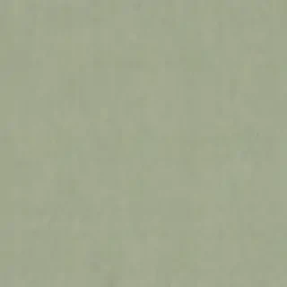 sage green backround