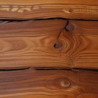 wood grain