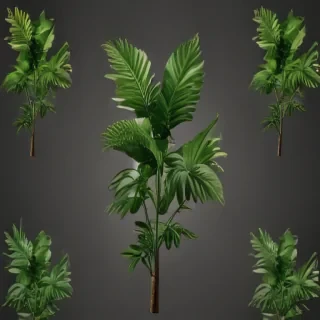 plant png clipart