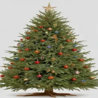 christmas trees transparent background