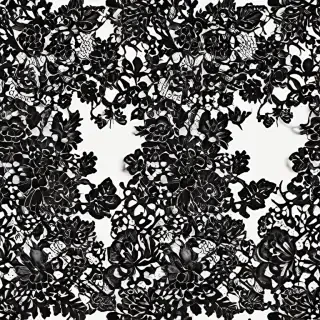 black lace png
