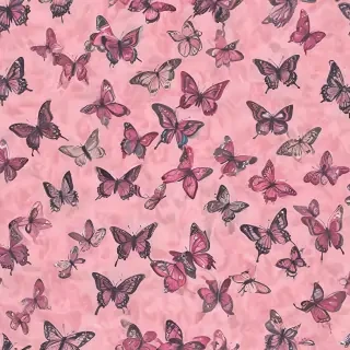 butterfly pink