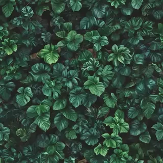 plants background iphone