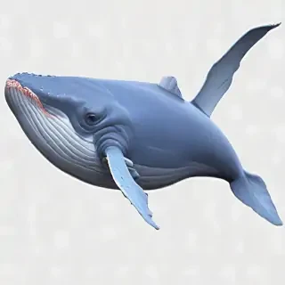 blue whale png