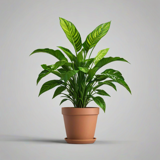 potted plant png