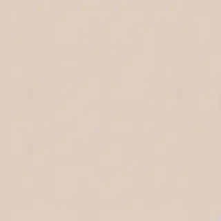 neutral iphone wallpaper