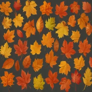 fall leaves png transparent
