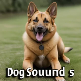 dog sounds