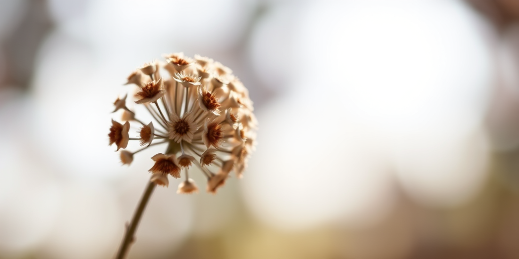 photograph a dried flower cluster with soft focus background and sharp foreground in natural light, using a DSLR camera with 50mm lens, aperture f/2.8, ISO 200, shutter speed 1/125 sec, macro view, enhance details and colors.