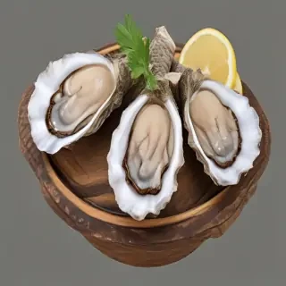 oysters png