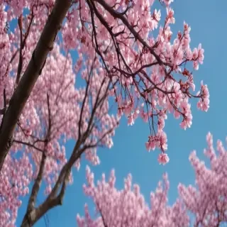 spring iphone background