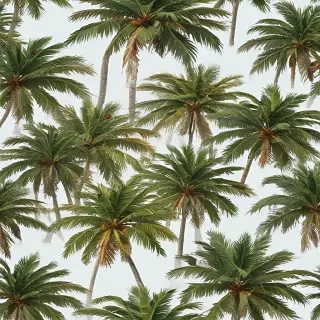 palm trees png