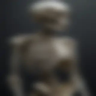 skeleton iphone wallpaper