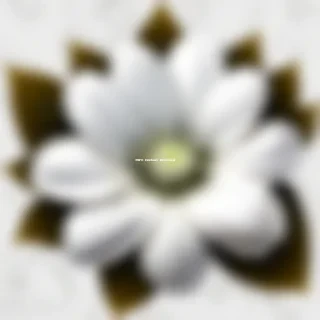 white flower png