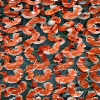 shrimp png