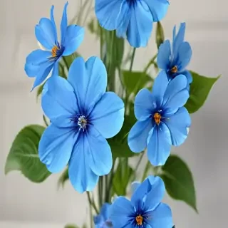 transparent blue flowers