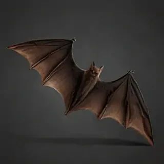 bat wings png