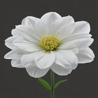 white flower png