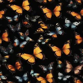 butterflies in black background
