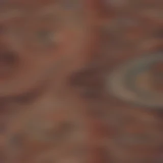 paisley pattern png
