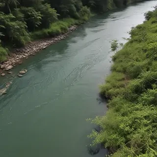 river png