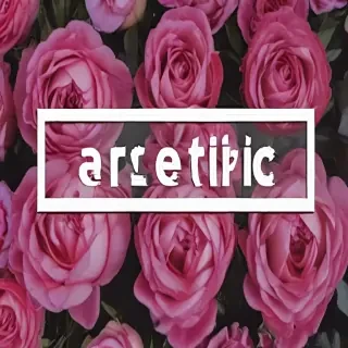aesthetic cover photo