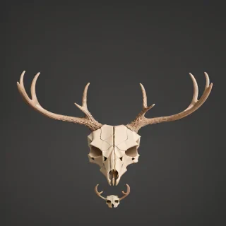 deer skull png