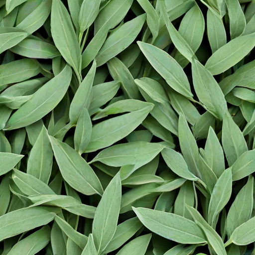sage green images