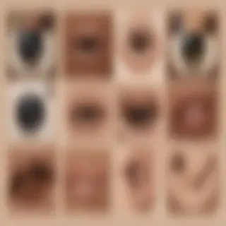 aesthetic instagram highlight covers brown