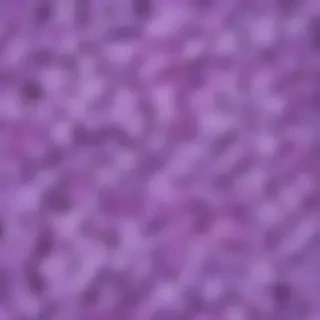 lilac background