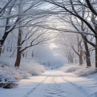 free winter clip art