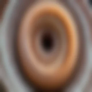 ring worm images