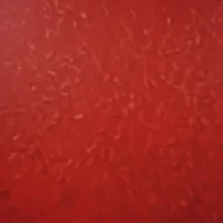 red bg plain