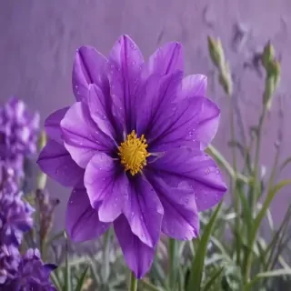 background flower purple
