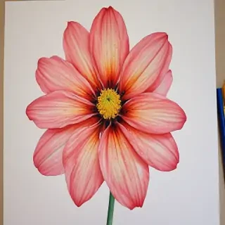 flower drawing with color