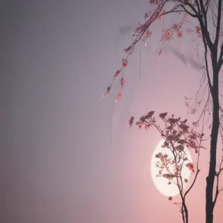 minimalist aesthetic wallpaper