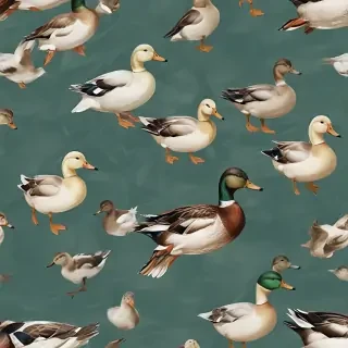 duck background